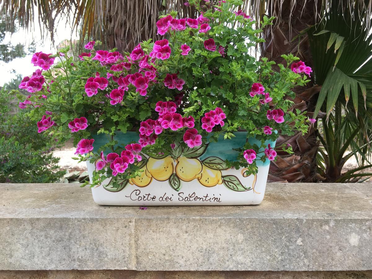 קרפיניאנו סלינטינו Corte Dei Salentini מראה חיצוני תמונה